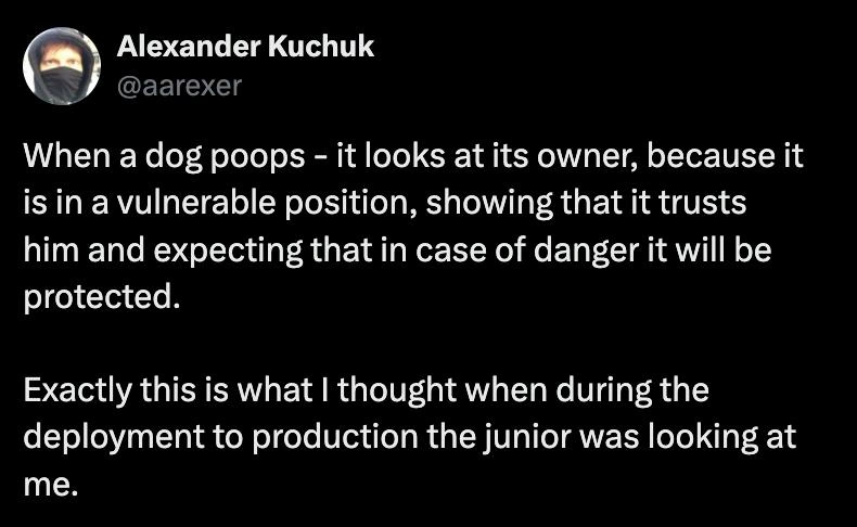 Junior Developer Looks at Senior Like a Dog During Production Deployment