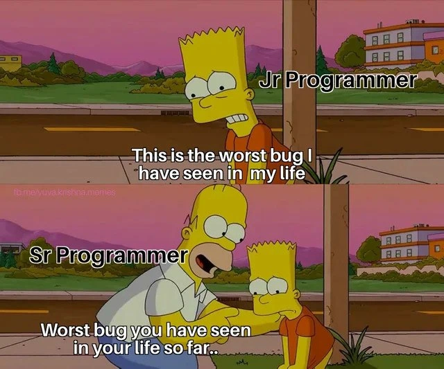 A Senior Programmer's Ominous Mentorship on Bugs