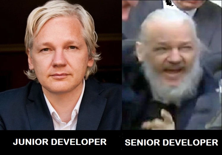 The Brutal Transformation from Junior to Senior Developer