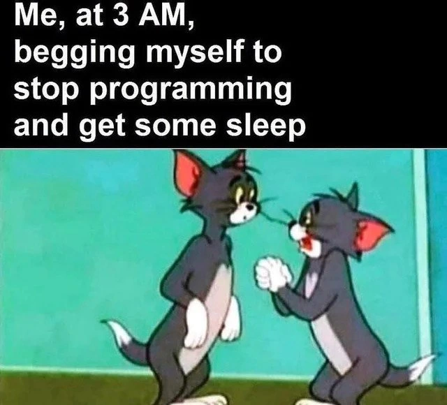The programmer's internal monologue at 3 AM