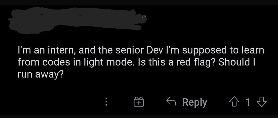 Intern worries when senior dev codes in light mode, considers fleeing