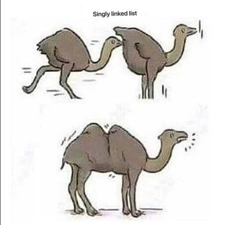 Camel anatomy explains singly vs doubly linked lists in two cartoon panels