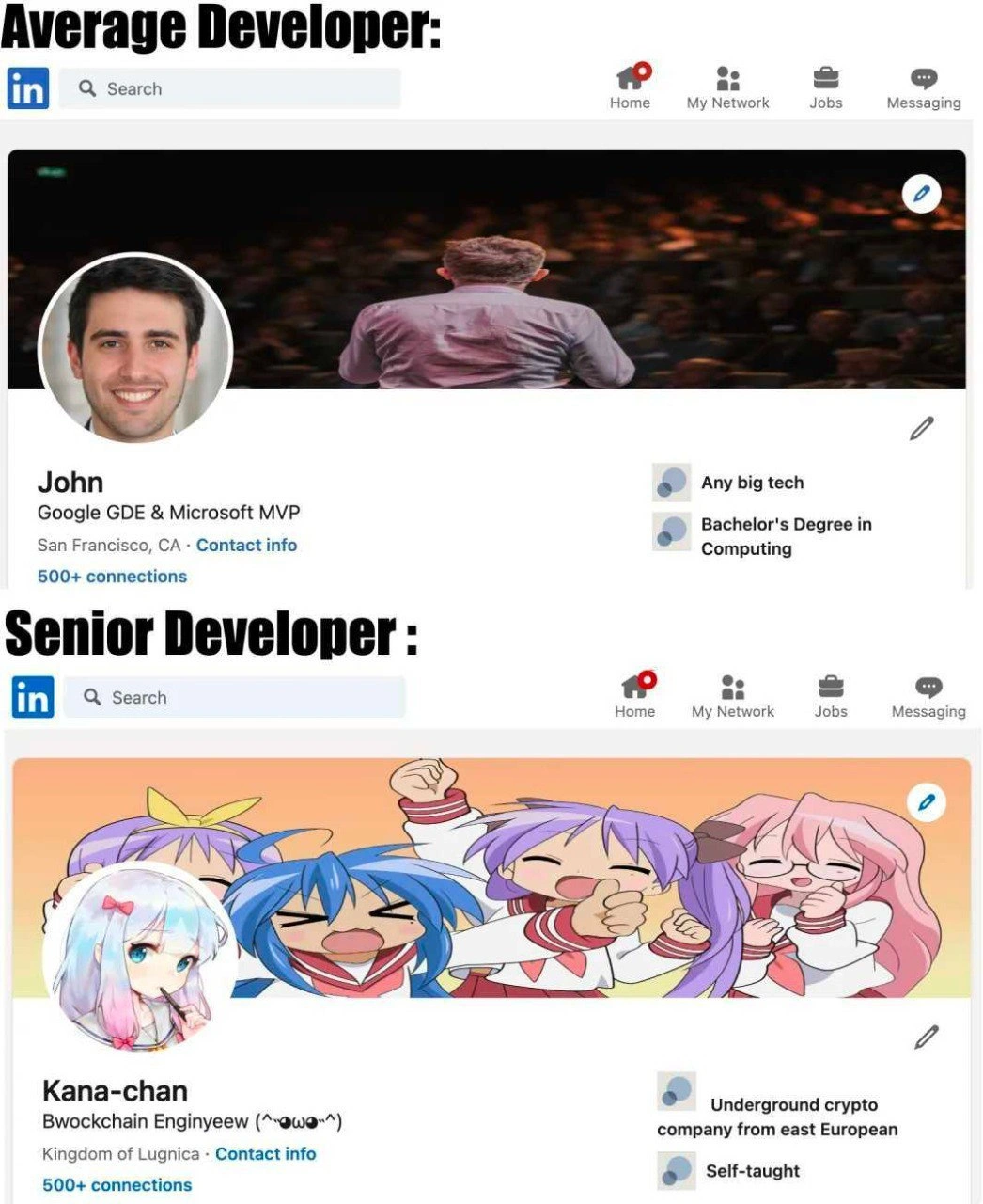 Average vs Senior Developer: LinkedIn credential flex versus anime blockchain parody