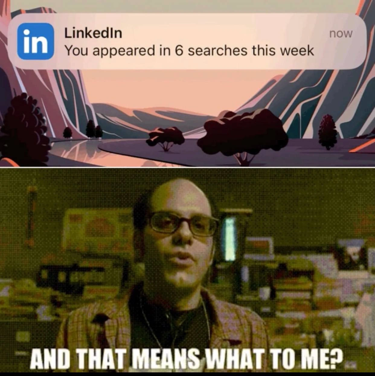LinkedIn proudly reports six searches; seasoned dev asks why that even matters