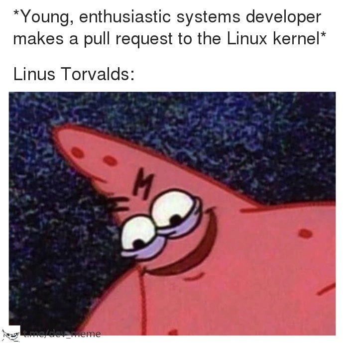 Linus Torvalds Reviews a New Kernel PR
