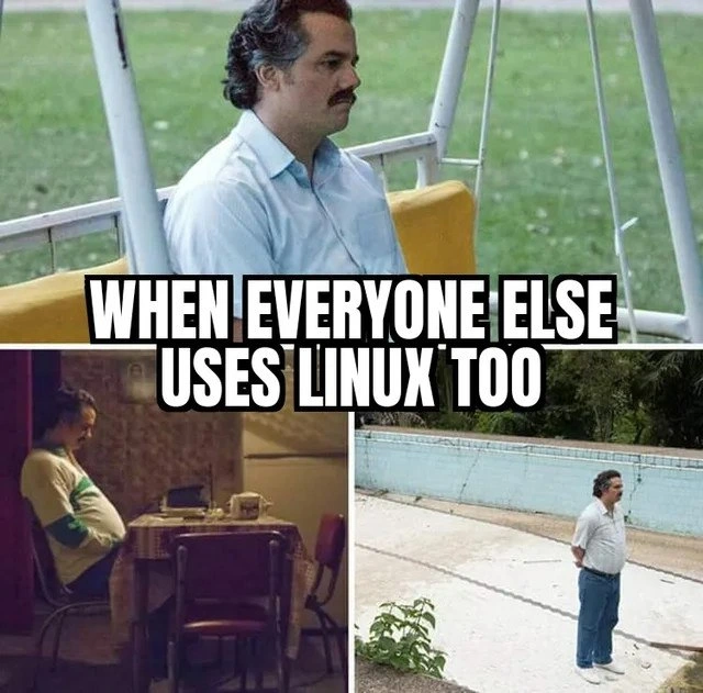 The Existential Void of the Mainstream Linux User