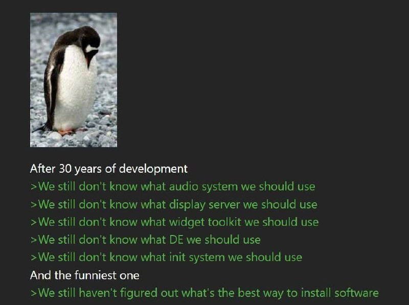 Linux Still Cannot Pick One Stack