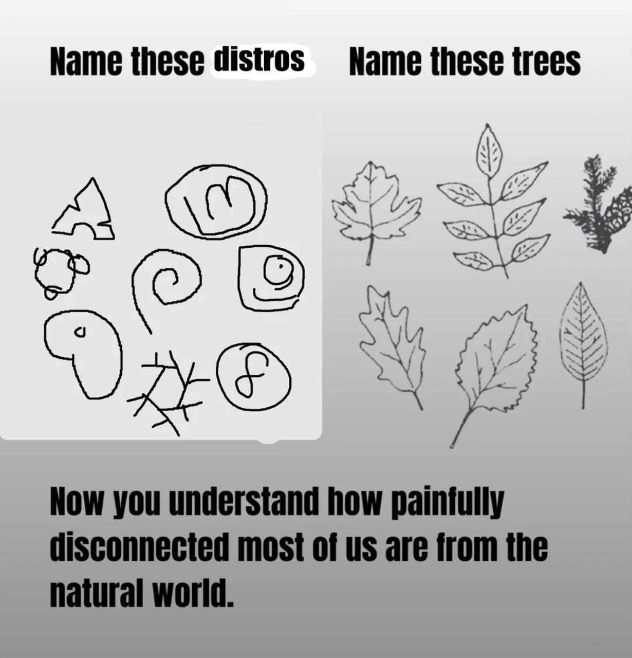 Linux Users Can Name Every Distro Logo but Not a Single Tree Leaf