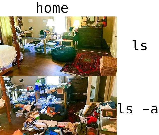 ls vs ls -a: The Hidden Files Are Where the Mess Lives