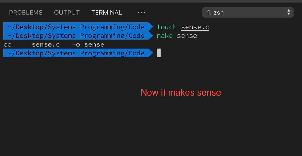 Developer literally makes sense with a single 'make sense' command