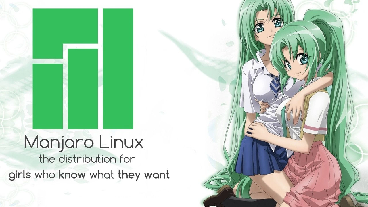 Manjaro Linux: anime crossover meme about choosing the right distro with confidence