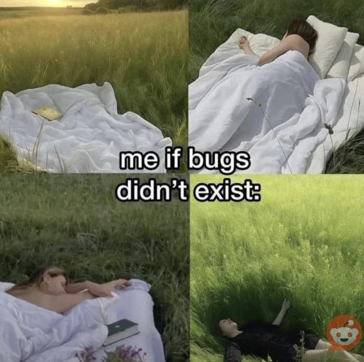 Me If Bugs Didn't Exist: Sleeping Peacefully in a Meadow
