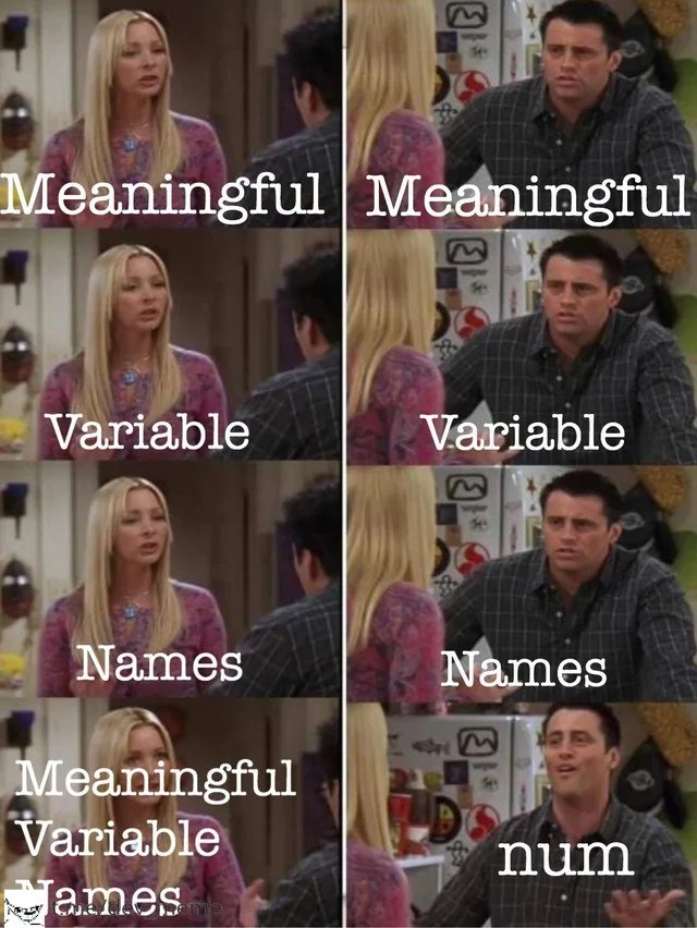 The Art of Variable Naming: A Tragedy in One Word