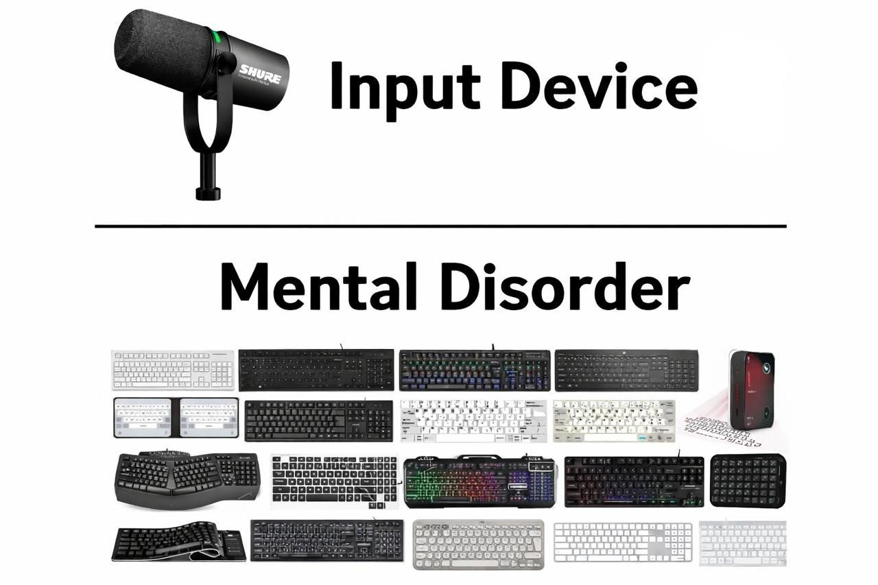 Microphone Is an Input Device, Keyboard Collecting Is a Mental Disorder