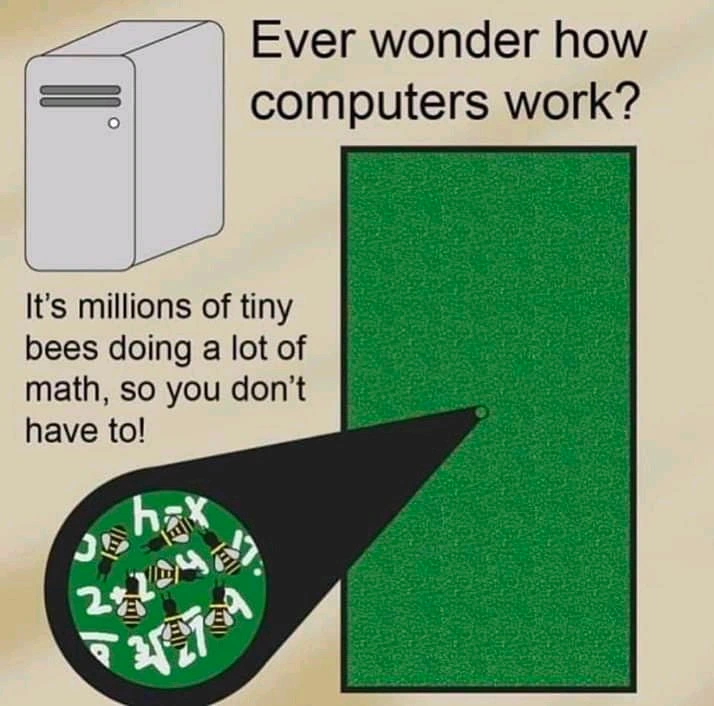 Computational Apiology: The Bee-nary System