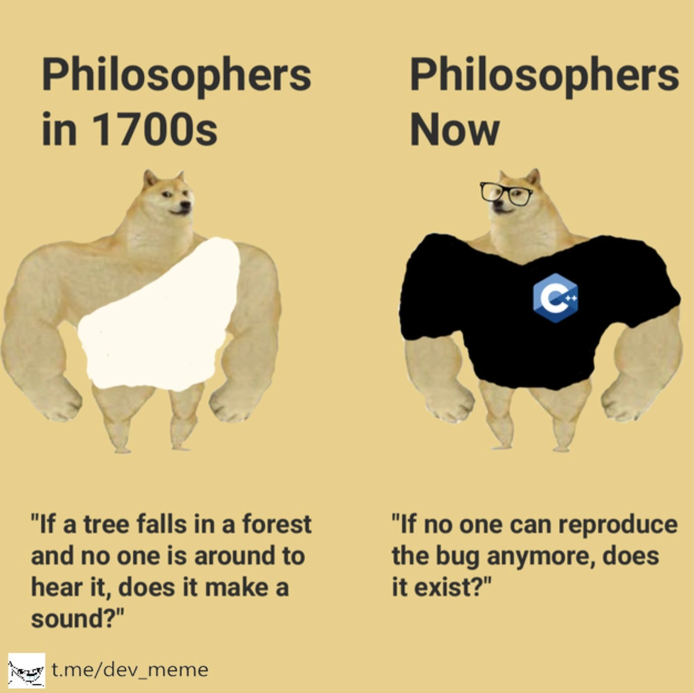 Philosophical Problems: From Falling Trees to Heisenbugs