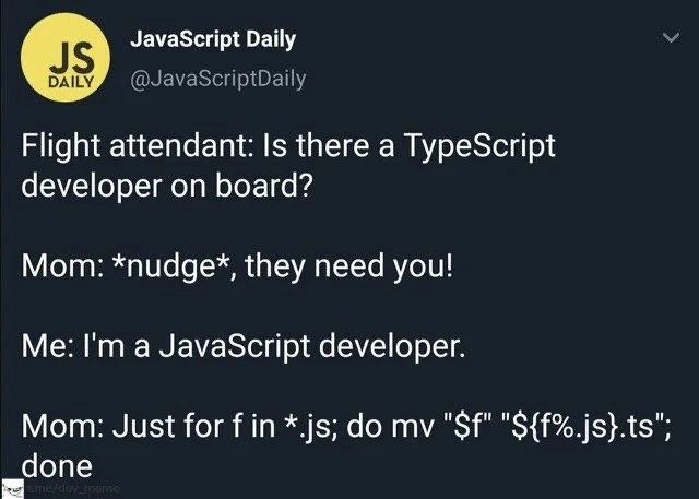 JavaScript to TypeScript Migration: Mom's Edition