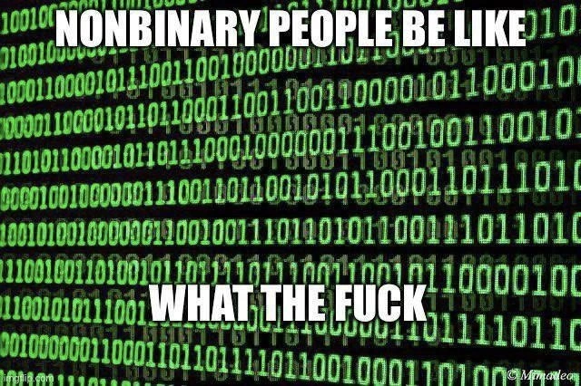 When a Nonbinary Person Encounters Binary Code