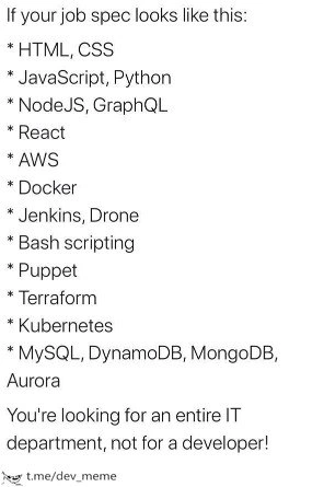 One Developer, Entire IT Department