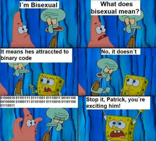 Bisexual vs. Binary: A Programmer's Pun