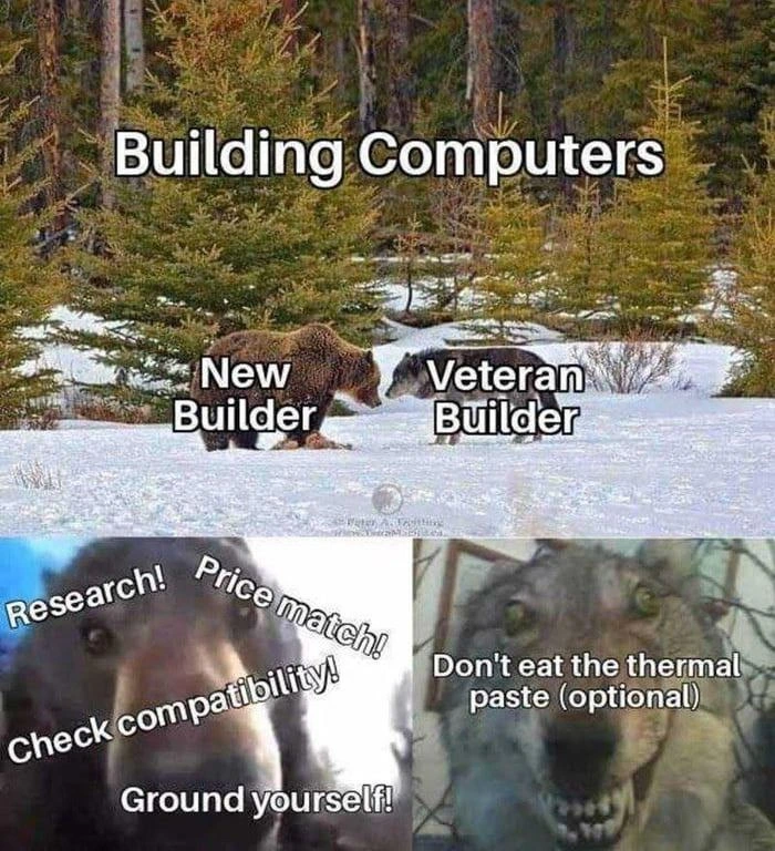 PC Building Evolution: From Cautious Novice to Unhinged Veteran