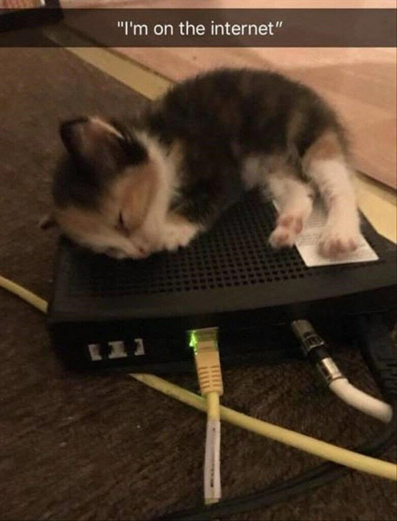Physical Layer Internet Access