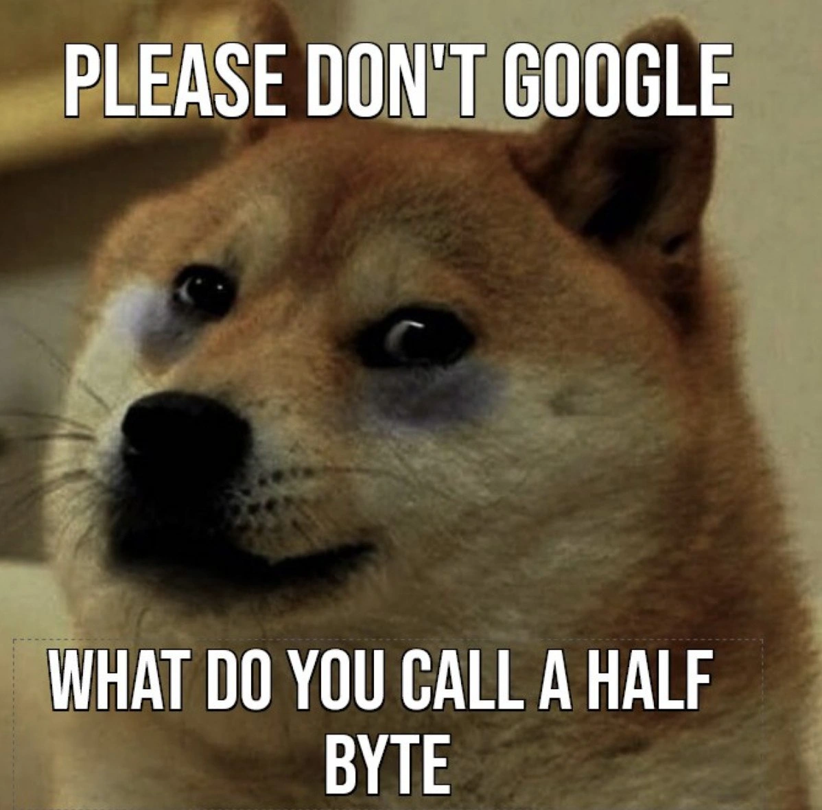 Please Do Not Google Half Byte