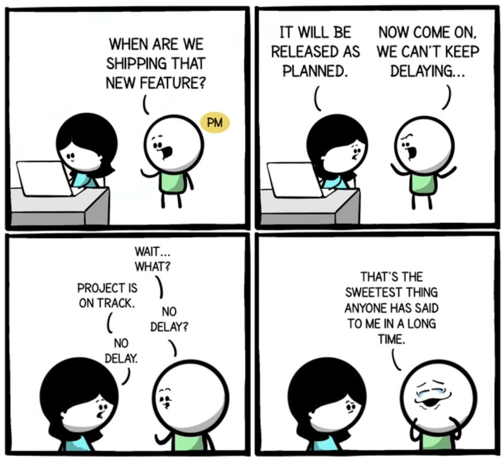A Project Manager's Rarest Dream: An On-Time Delivery