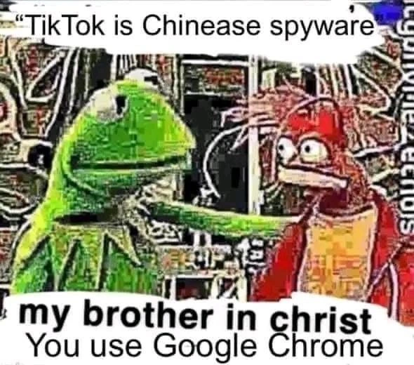 When You Call TikTok Spyware While Browsing in Data-Hungry Google Chrome