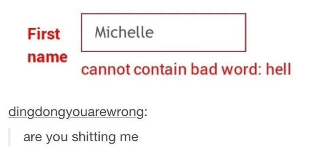 Profanity Filter Meets Michelle