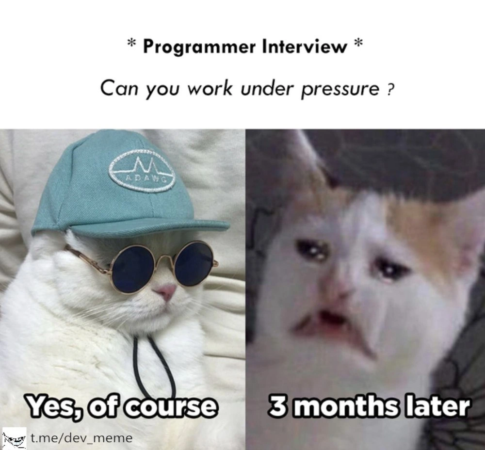 The Interview Promise vs. Production Reality