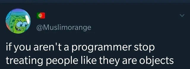 A Programmer's Prerogative on Objectification