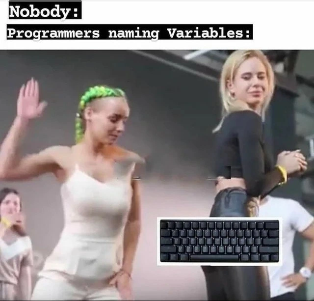 Programmers naming variables: keyboard smash is the default naming convention