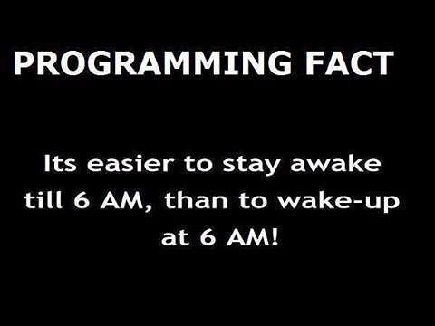 The Programmer's Circadian Rhythm Paradox