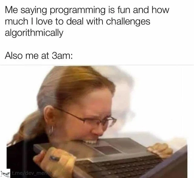 The Duality of Developer Delight and Despair