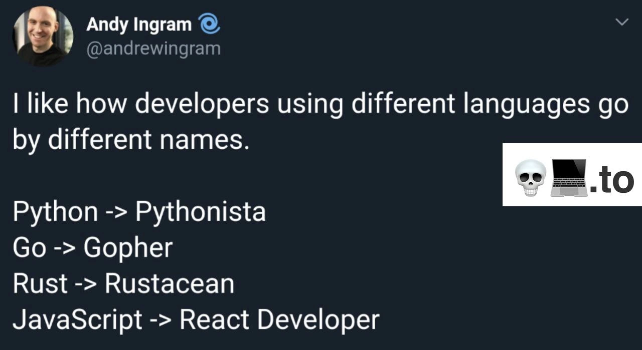 JavaScript's Identity Crisis: You're a React Developer Now