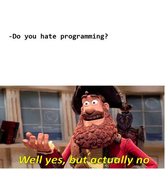 The Programmer's Love-Hate Relationship with Code