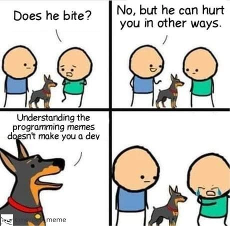 The Bark of Truth in Developer Culture