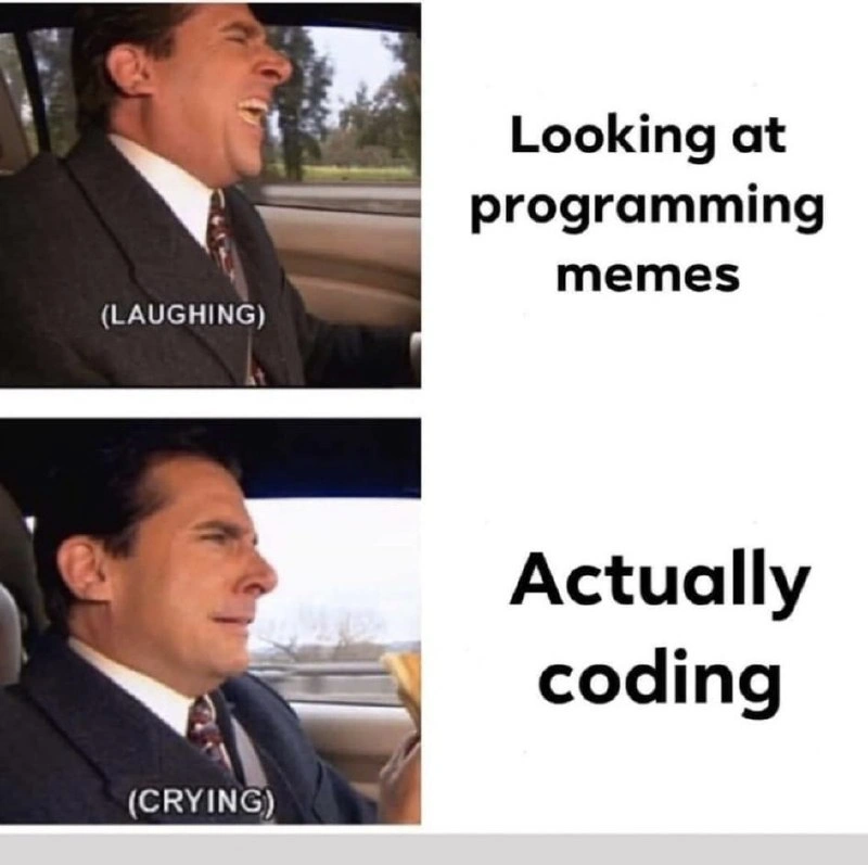 The Duality of a Developer's Day: Memes vs. Code