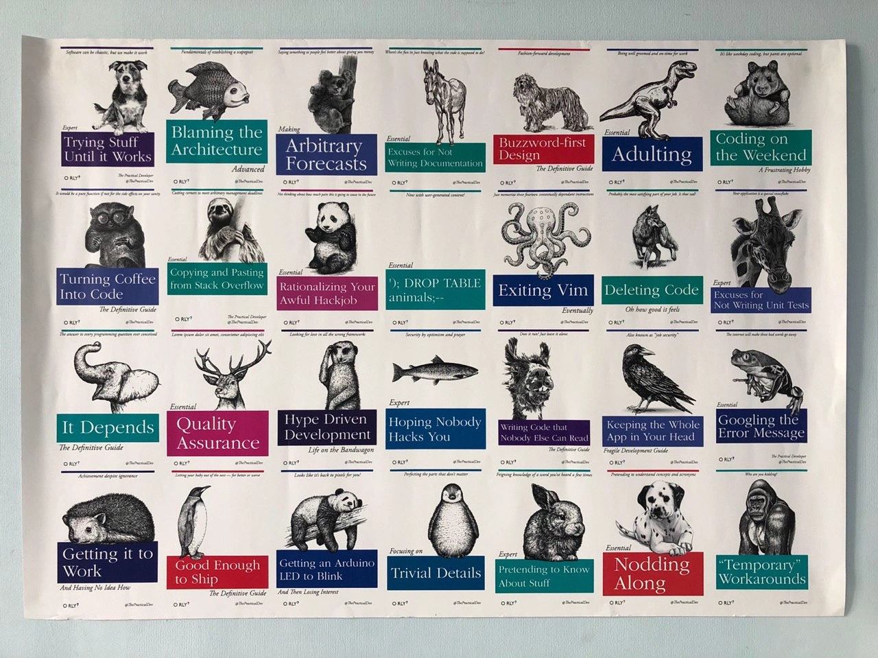 A Field Guide to Software Development Anti-Patterns