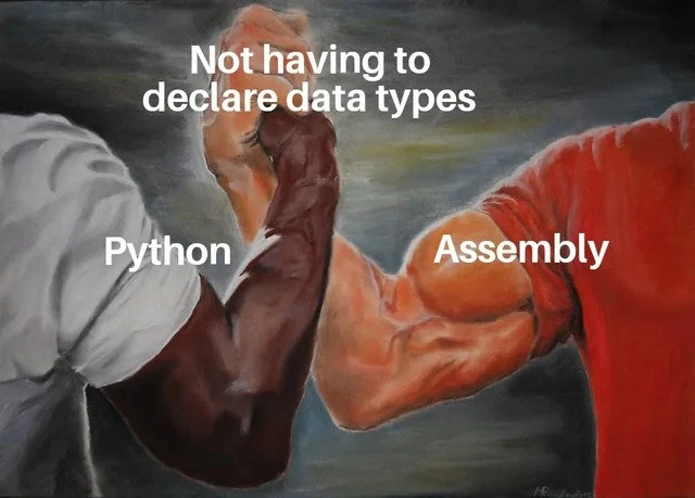 Python And Assembly Type Truce
