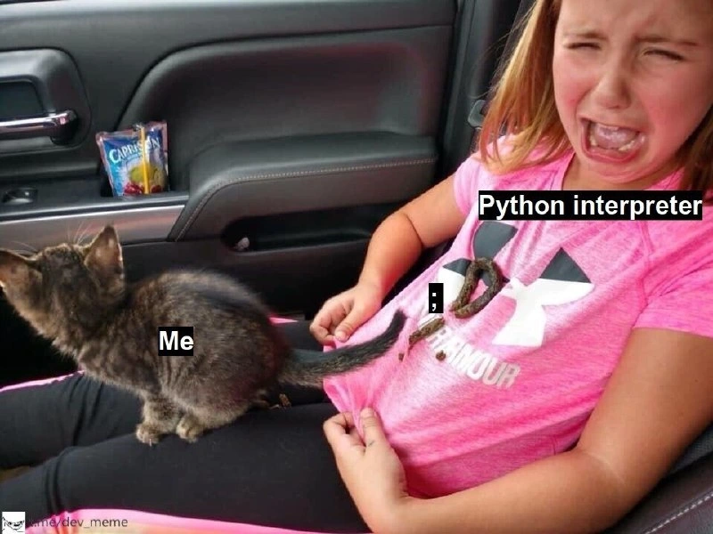 When a C++ Dev Writes Python