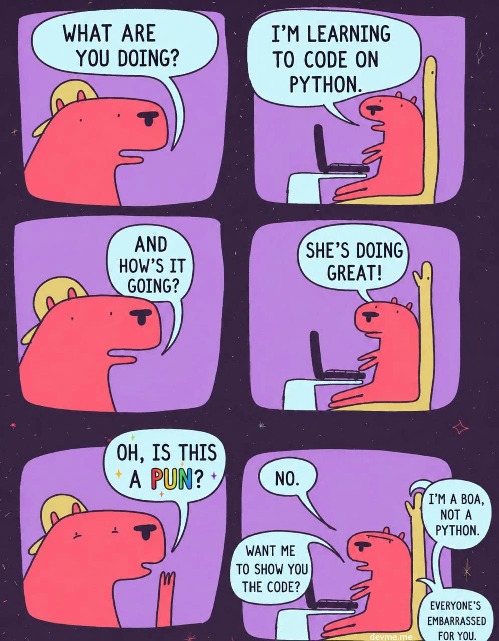 Python Learner Gets Boa Type Feedback