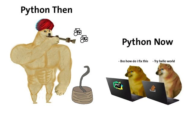 Python: From Mystical Snake Charming to 'Try Hello World'