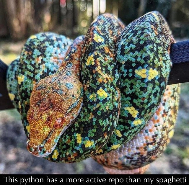 Even this actual python's repo outpaces my spaghetti codebase activity