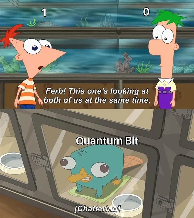 When the qubit observes you as 0 and 1 at the same time