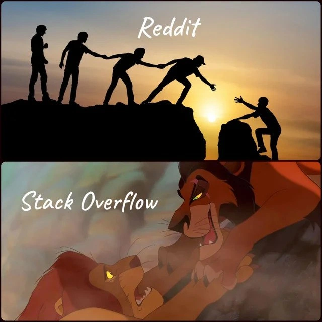 When Reddit Lifts You Up but Stack Overflow Sends You Plummeting