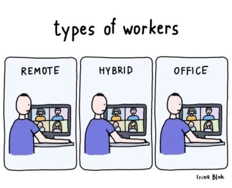 Remote, Hybrid, Office: Different Locations, Same Endless Video Grid Reality