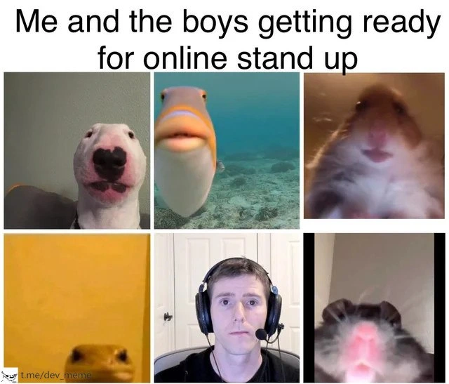 The Unflattering Angles of a Virtual Stand-up