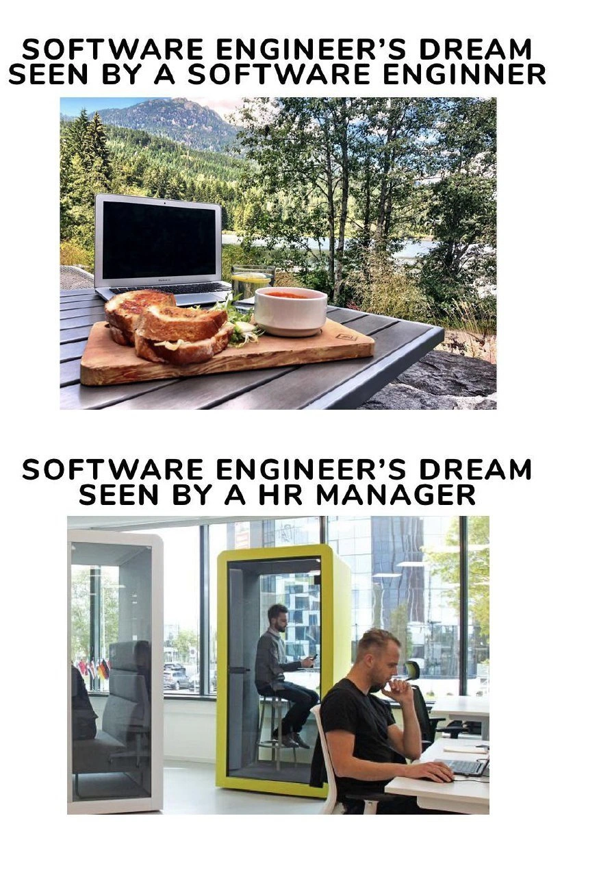 Engineer's Dream: Scenic Freedom vs. HR's Upholstered Cage